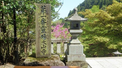 DSC_1779.jpg