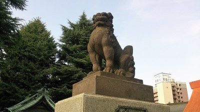 DSC_2948.jpg