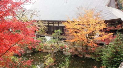 DSC_3607.jpg