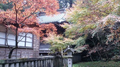 DSC_3654.jpg