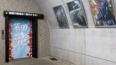 DSC_3947.jpg