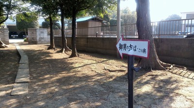 DSC_4036.jpg