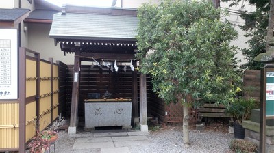 DSC_4061.jpg